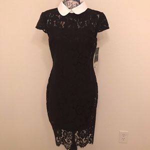 LAUREN Ralph Lauren Black Lace Dress White Collar